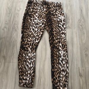 Olivaceous Leopard Joggers